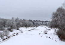 До -19°С похолодает в Рязанской области в ночь на субботу
