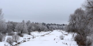 До -19°С похолодает в Рязанской области в ночь на субботу