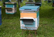 Внимание пчеловодам села Тюшево