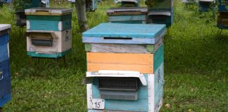 Внимание пчеловодам села Тюшево