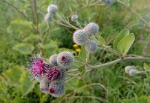 Суд оставил без изменений жалобу собственника земли в Рязанском районе