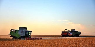 Губернатор Павел Малков: Наши аграрии собрали более трёх миллионов тонн зерна и близки к повторению рекорда 2022 года