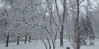 Небольшое похолодание в субботу обещают синоптики рязанцам