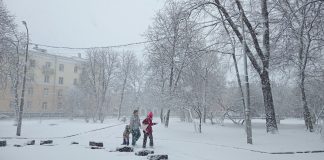 Губернатор Павел Малков: «Коммунальные и дорожные службы работают в усиленном режиме»