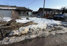 В Рязанском округе подросток на мопеде сбил женщину