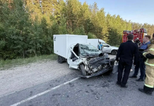 Житель Рязанского округа погиб в ДТП