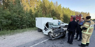 Житель Рязанского округа погиб в ДТП